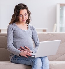 Naklejka premium Pregnant woman working on laptop sitting on sofa