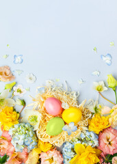 Easter composition with Spring Flowers and Easter eggs in nest on pastel blue background.