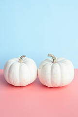 Autumn pumpkins creative layout. Halloween or Thanksgiving holiday concept.