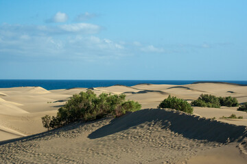Desert dunes in Southern Las Palmas, Spain