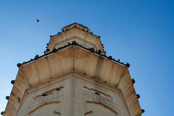 Close up of Tower filled with perching pigeons over Jaipur, Rajasthan, India