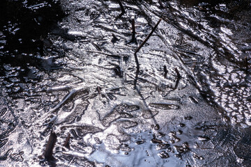 池の表面に貼った氷