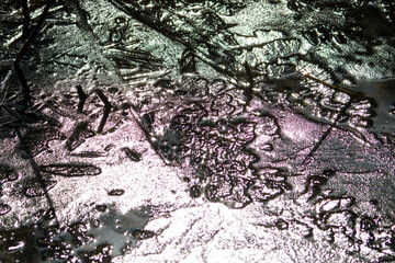 池の表面に貼った氷