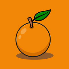 Orange fruit vector