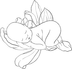 Flower's Newborn Line Arts Clipart with sleeping babies, rose, sunflower, iris, sunflower, hydrangea, tulip, lilac, magnolia and more. Perfect for baby shower, milestone cards, nursery decor