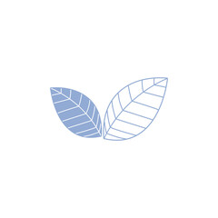 leaf illustration on white background