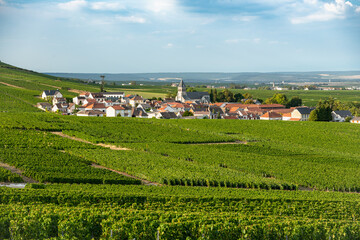 Village de Oger en Champagne à la saisons des vendanges. Vue panoramique sur les vignes