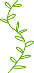 leaves and branch line illustration