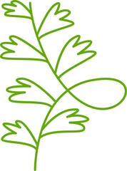 leaves and branch line illustration