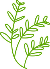 leaves and branch line illustration