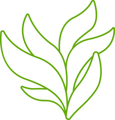 leaves and branch line illustration