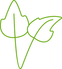 leaves and branch line illustration