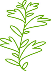 decorative leaves line illustration