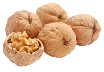 Walnut
