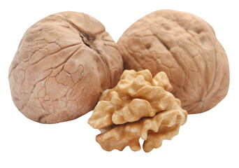 Walnut