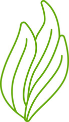 decorative leaves line illustration