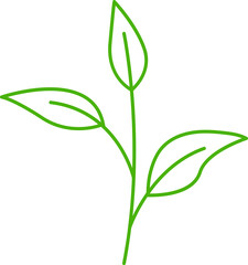 decorative leaves line illustration