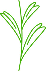 decorative leaves line illustration