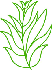 decorative leaves line illustration