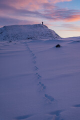 Footprints in the snow