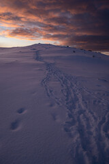 Path in snowy mountains
