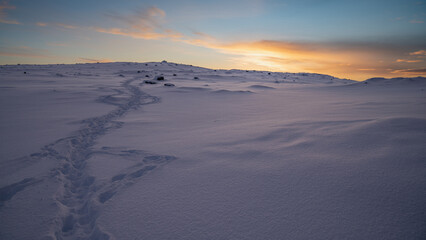 Path in snowy mountains