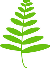 green leaves and branch illustration