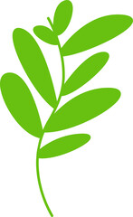 green leaves and branch illustration