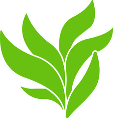 green leaves and branch illustration