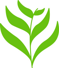 green leaves and branch illustration