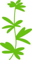 green leaves and branch illustration