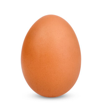 Chicken Egg transparent on white background