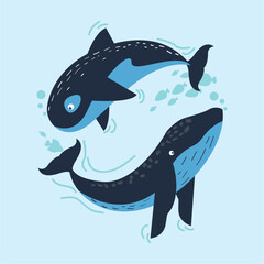 Obraz premium two whales swiming