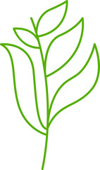 leaves and plant line illustration