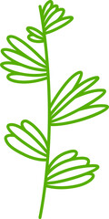 leaves and plant line illustration