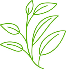 leaves and plant line illustration