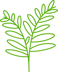 leaves and plant line illustration