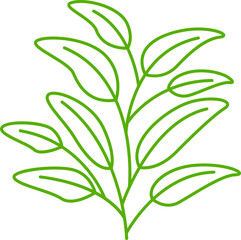 leaves and plant line illustration
