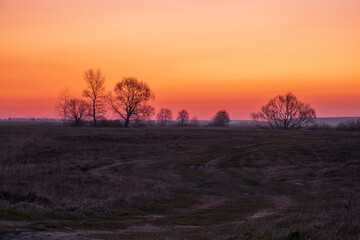Fototapeta na wymiar sunrise over the field