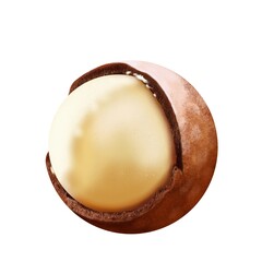 Peeled macadamia nut in the shell, close-up separately on a white background, digital freehand drawing.