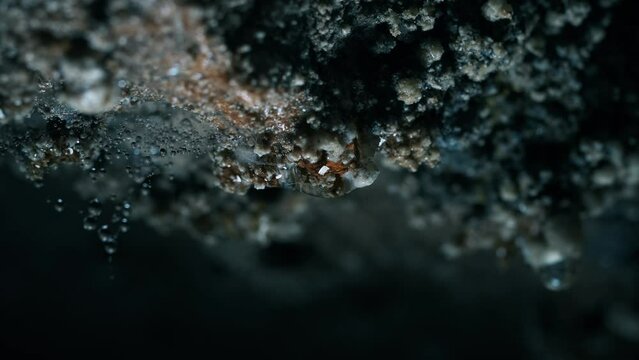 A drop falls at the entrance of the Tounjcica cave