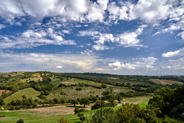 Fototapeta na wymiar Agricultural landscape with olive and vine plantations and the towers of the city on the hill in Tuscany