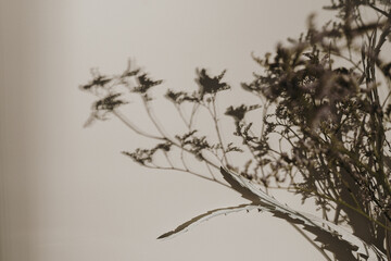Dried grass bouquet in blurred sunlight shadows on dark neutral beige wall. Aesthetic minimal floral composition