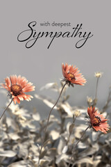 Sympathy card with gaillardia flowers