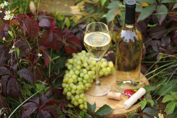 glass of white wine on wooden background with  grape