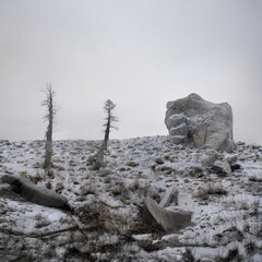 snow covered rocks