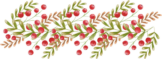 red berries on transparent background