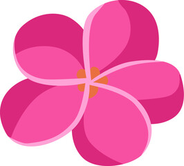 Plumeria flower icon