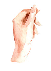 Woman's hand. Hand drawn watercolor painting isolated on white background