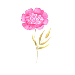 peony flower watercolor decoration for invitation